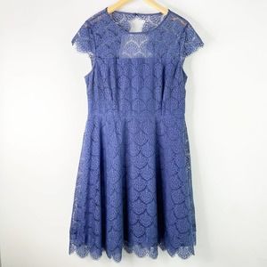 KENSIE | Mira Lace Dress - 14